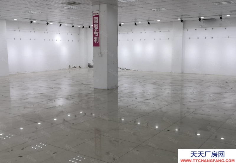 (出租) 中山黄圃可办环评！黄圃原房东标准厂房500~6000平方出租，可分租