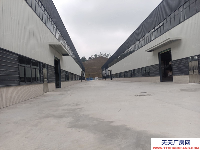 (出租) 中山板芙全新独院钢构一楼4万方出租，可以分租
