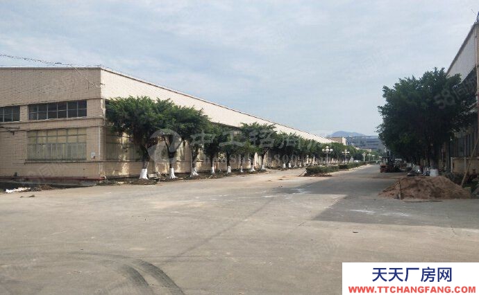 (出租) 中山市板芙镇单一层厂房招租高度10米证件齐全可办环评可分租