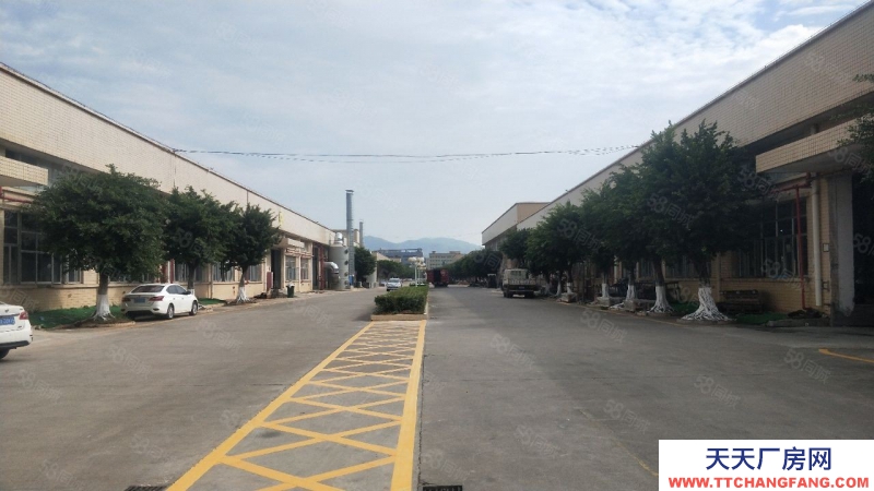 (出租) 中山板芙独院红本厂房精装修15000方，12米高，无行业限制
