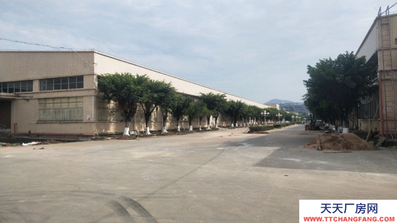 (出租) 中山板芙独院红本厂房精装修15000方，12米高，无行业限制