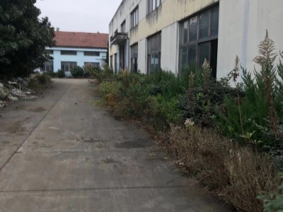 宁波象山(出租) 象山西周镇独栋厂房出租2000平，高5米，位置好图2