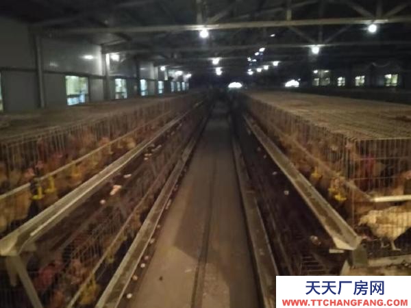 衡阳市衡东县 厂房分a.b两部分，共计1500平方，水电齐全，价格面议。