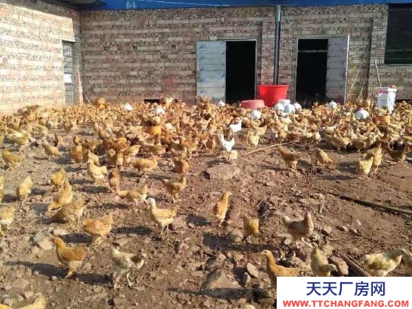 衡阳市衡东县 厂房分a.b两部分，共计1500平方，水电齐全，价格面议。