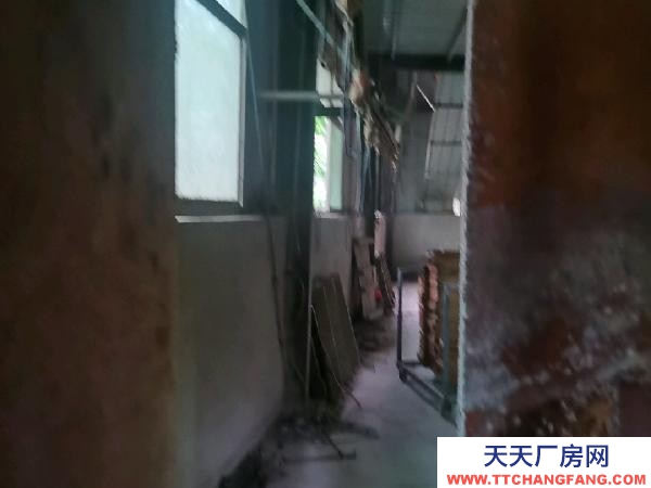 衡阳市衡山县  厂房内有大型喷漆房，工厂厂棚，仓库，木工机械