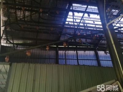 衡阳市衡山县  厂房内有大型喷漆房，工厂厂棚，仓库，木工机械图2