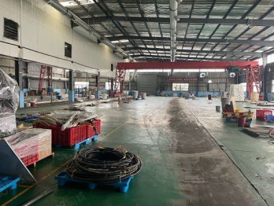 湘潭市岳塘区 大变压器，德国工业园区单层钢构厂房配10吨行车图4