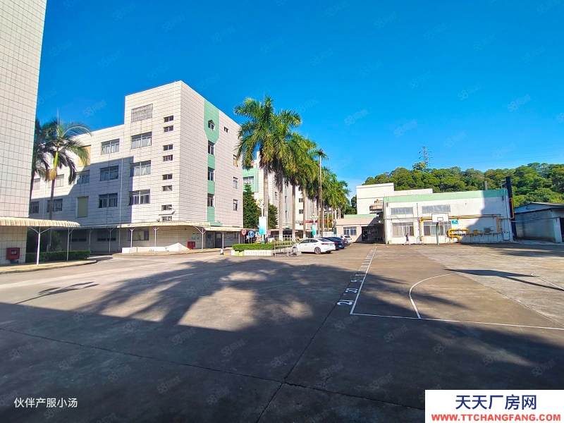 (出租) 中山大涌新出花园式标准厂房1200平现成精装修空地大大小面积可分