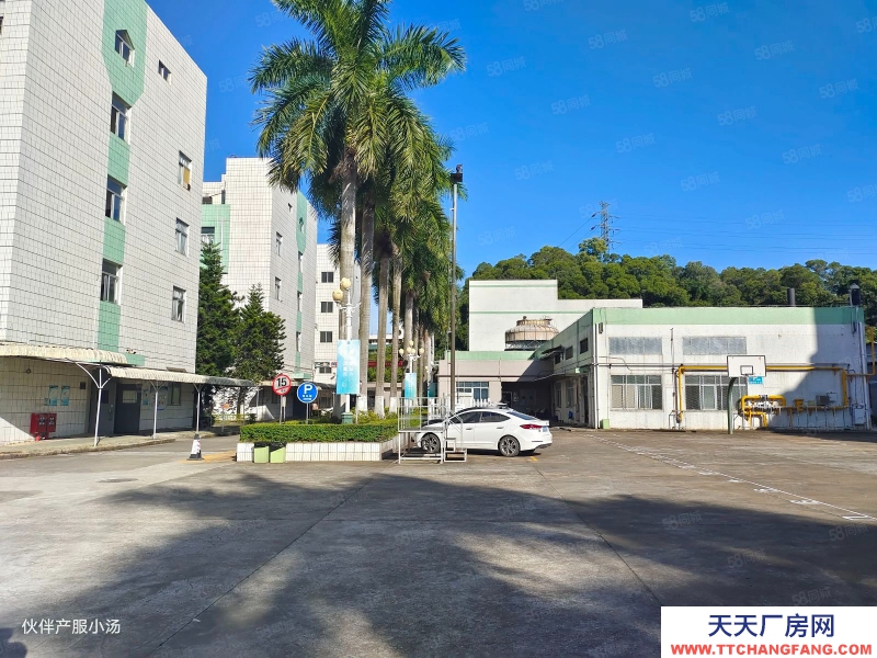 (出租) 中山大涌新出花园式标准厂房1200平现成精装修空地大大小面积可分