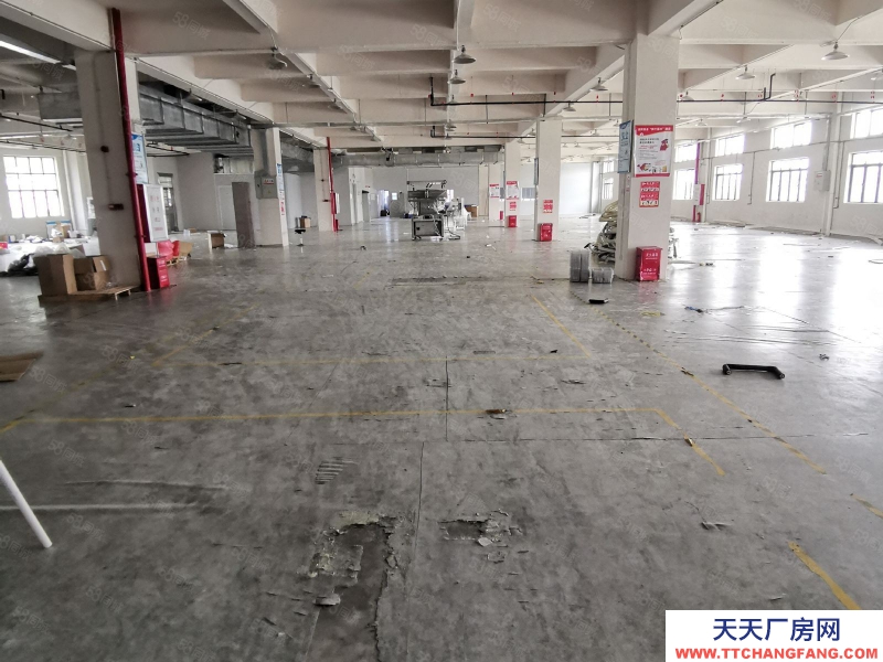 (出租) 中山市大涌镇南文社区标准厂房（1800方）带现成家具环评喷漆