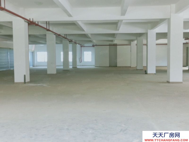 (出租) 中山大涌镇30000平大小可分带红本工业园一楼仓库出租厂房出租