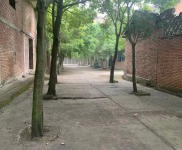 (出售) 简阳天府国际机场旁房屋及其土地出售