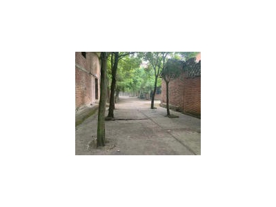 (出售) 简阳天府国际机场旁房屋及其土地出售图1