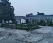 (出租) 东坡  原为食品厂，食品厂优先考虑。