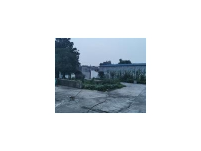(出租) 东坡  原为食品厂，食品厂优先考虑。图2