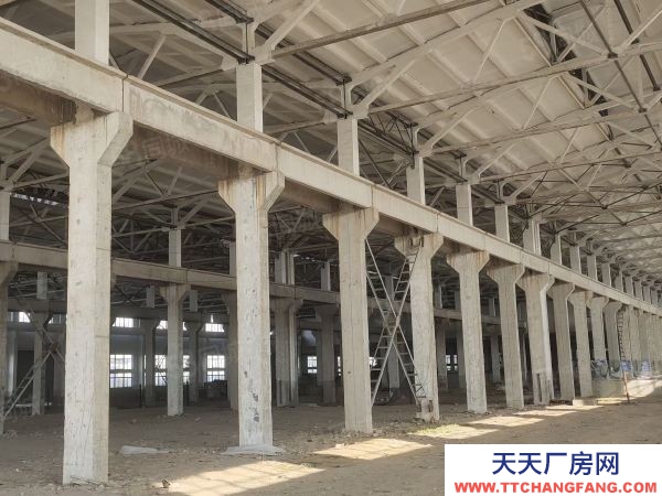 无锡锡山区单层厂房出租 层高12米12米层高