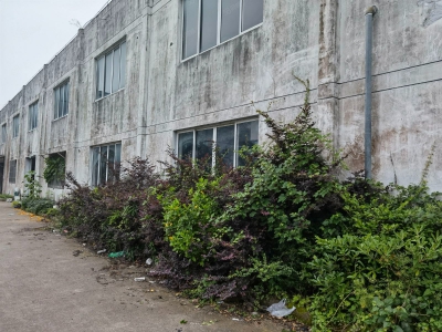 宁波象山(出售) 城区旁工业园区标准厂房！4000平方交通方便图1