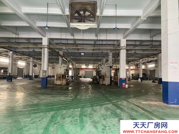 无锡锡山区亭厂房出租仓库租赁，多栋多层可整租可分租500平方