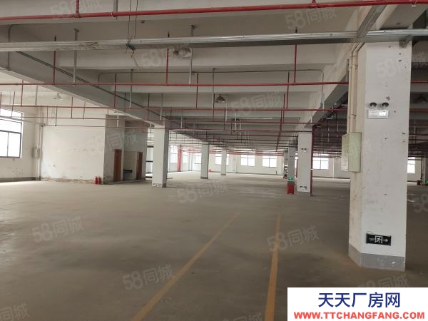 无锡锡山区 鹅湖工业区 新厂房出租，三层12000平，可分租价格便宜