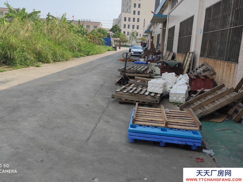 (出租) 中山市阜沙镇独院单层厂房5500平方出租，还有4000方空地