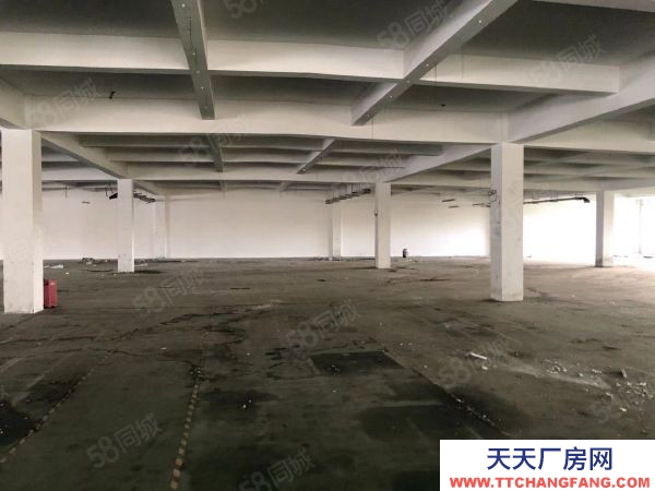 无锡锡山区东港 独门独院标准厂房4000，层高5米带办公室宿舍以及食堂