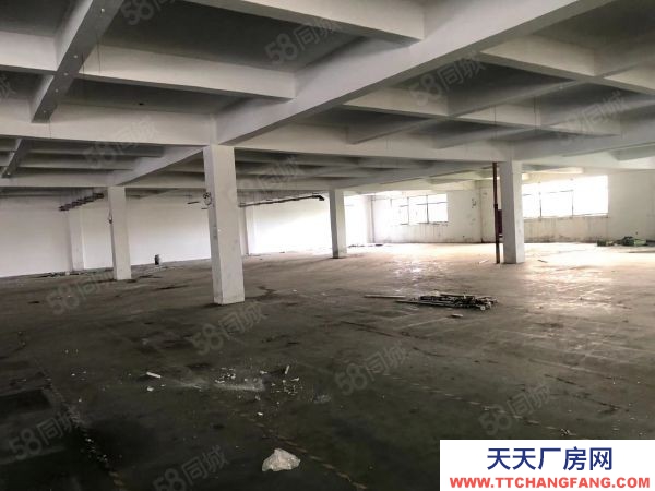 无锡锡山区东港 独门独院标准厂房4000，层高5米带办公室宿舍以及食堂