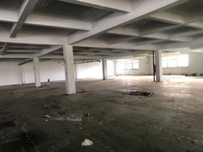 无锡锡山区东港 独门独院标准厂房4000，层高5米带办公室宿舍以及食堂图4