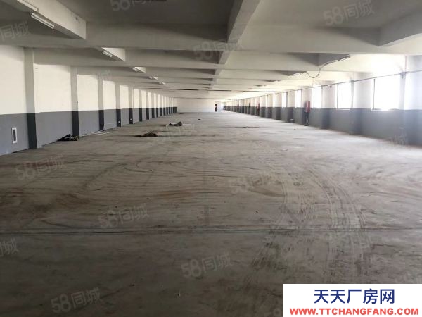 无锡锡山区东港 独门独院标准厂房4000，层高5米带办公室宿舍以及食堂