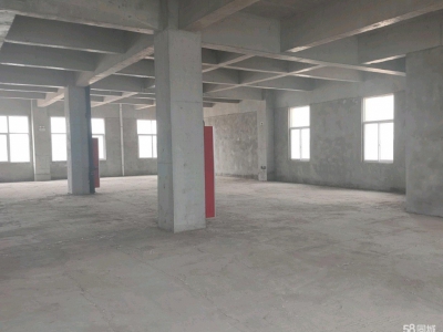 (出售)西安高陵 工业园区 小面积厂房 比例高图1