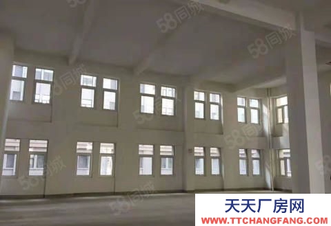 宁波宁海(出租) 出租宁海西店大路旁全新厂房6000平方