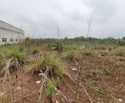 (出租)仁寿 厂房仓库空地个人直租带办公室宿舍
