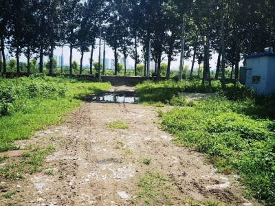 廊坊 香河 房东自己的地一手房源图4