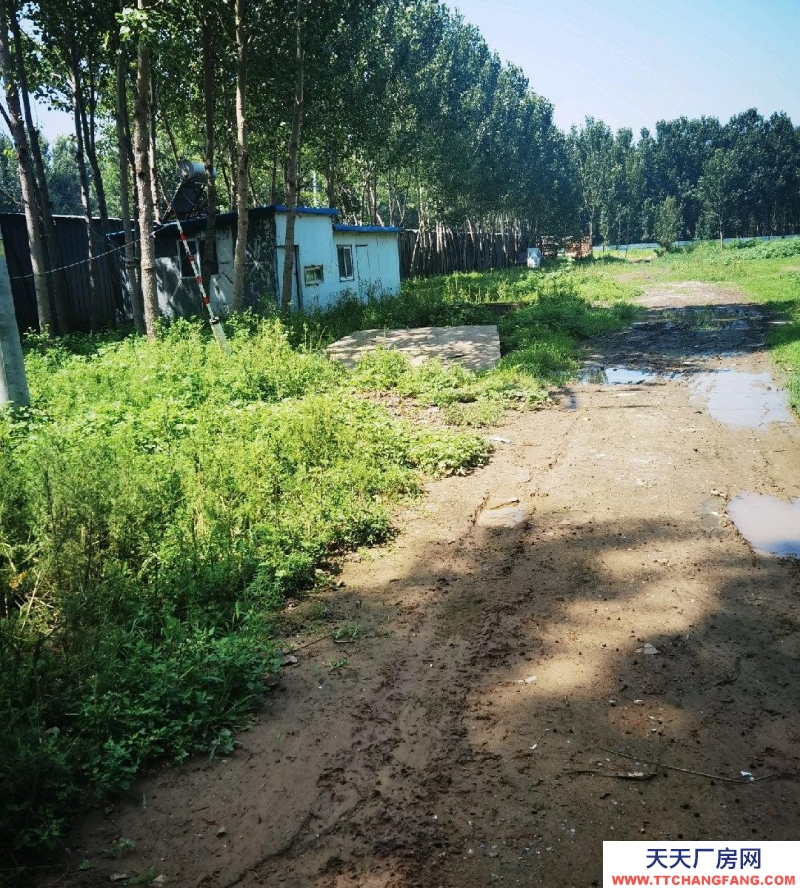 廊坊 香河 交通便利临近高速口，养殖，料场，生财旺地