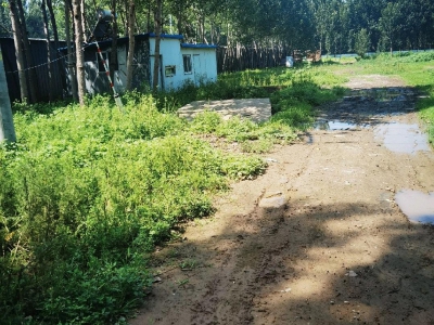 廊坊 香河 交通便利临近高速口，养殖，料场，生财旺地图2