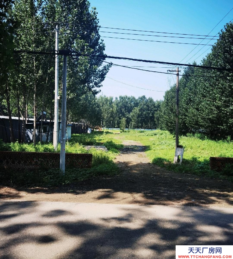 廊坊 香河 交通便利临近高速口，养殖，料场，生财旺地