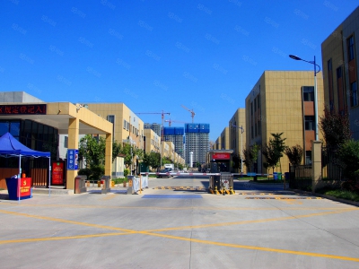(出售) 西安高陵渭北万亿工业大走廊核心位置 钢构框架厂房招商中图2