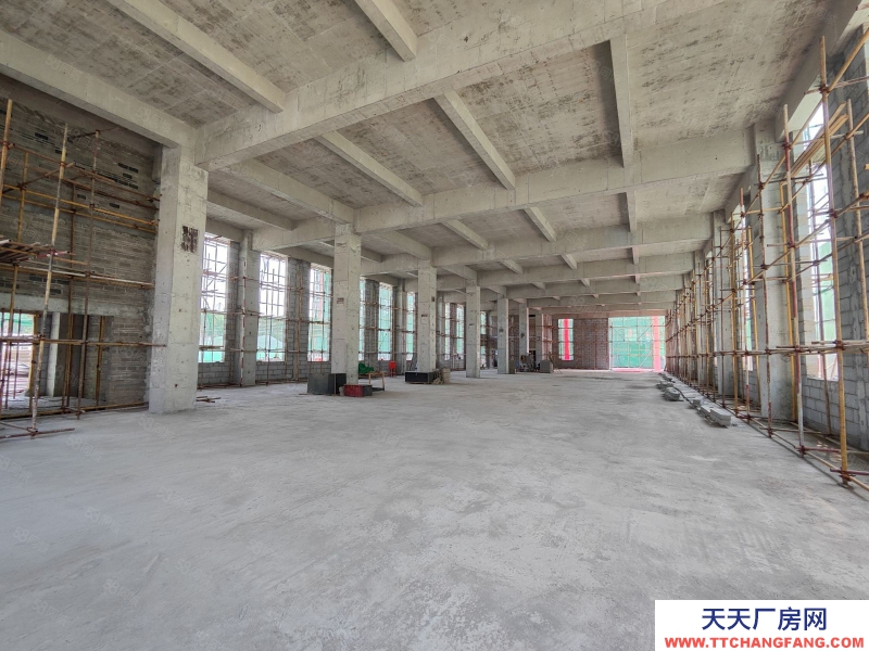 (出售) 西安高陵泾阳工业园 甲方直售 层高7.8米 承重5吨 现房即买即用