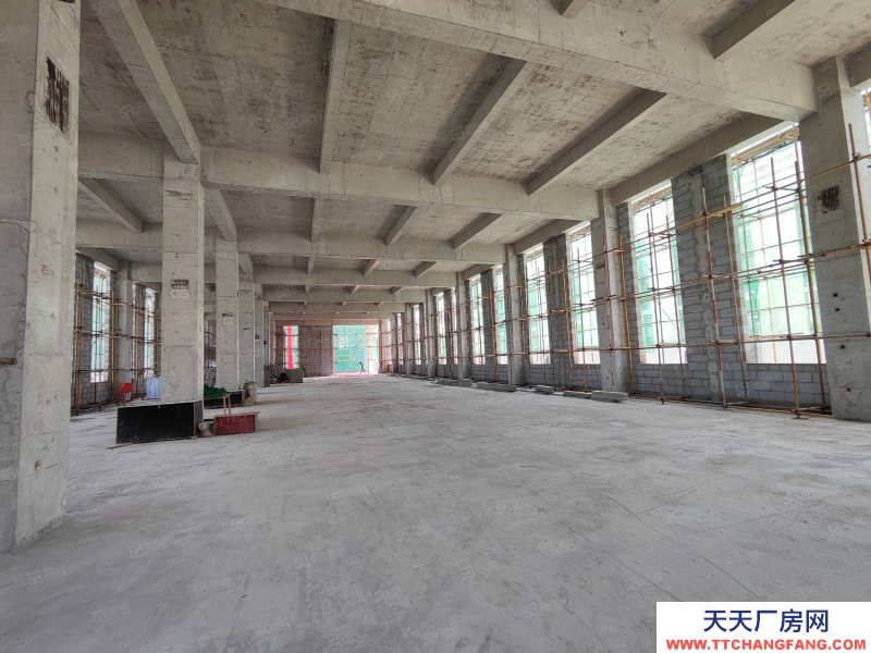 (出售) 西安高陵泾阳工业园 甲方直售 层高7.8米 承重5吨 现房即买即用