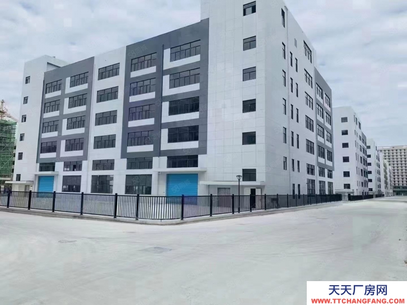 宁波宁海(出售) 出售宁波滨海新区 五层标准厂房首付3成可按揭产证齐全