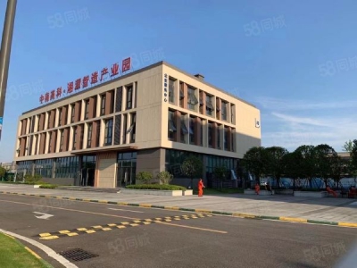 湘潭市岳塘区 免中介费，全新厂房，赠送电梯，性价比高图1