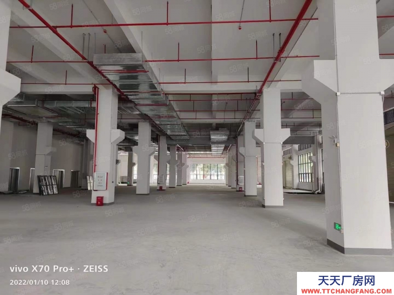 (出售) 中山坦洲工业红本厂房出售250000方 500起售 0税收