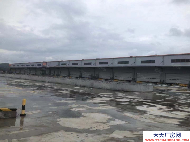 宁波余姚(出租) 余姚丈亭品牌高标库3500起租紧贴319省道