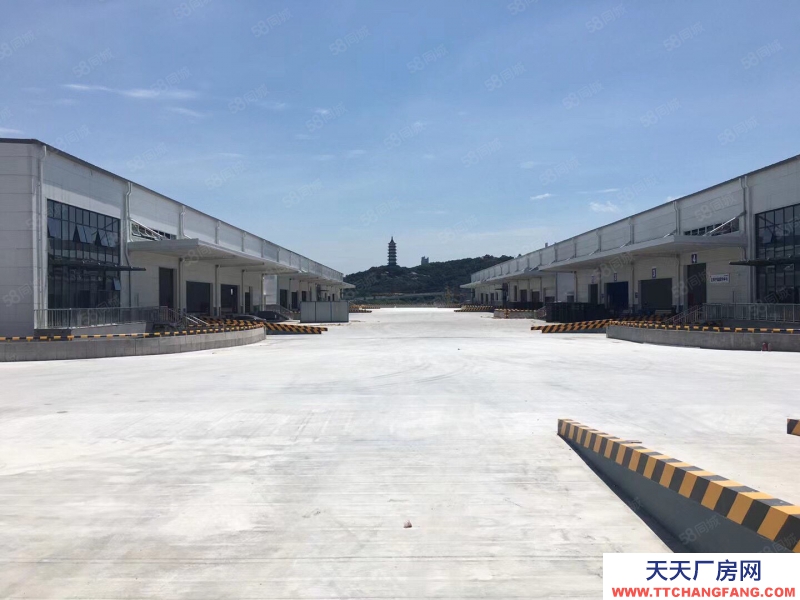 宁波余姚(出租) 余姚86000方全部一层高标库出租 3000起分租