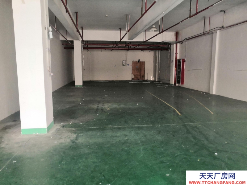 服装厂房出租童装行业湖州织里650平米配套好有宿舍食堂超市