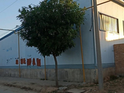 (出租) 咸阳三原可以加工，宽24米长35米高7米，大门5米，可根据需求改造图1