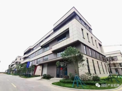 独栋框架结构，首层层高8米，可安装行车，新厂房图4