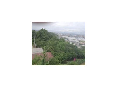 (出租) 恩施来凤桂花树工业园一公里处，另有空地2000平方来图2