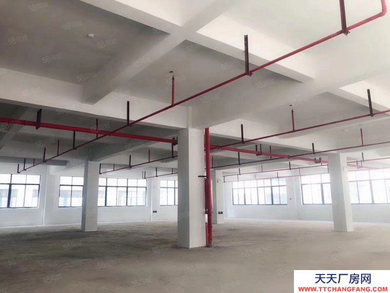 宁波余姚(出售) 出售宁波南部滨海新区 工业用地 产证齐全首付30