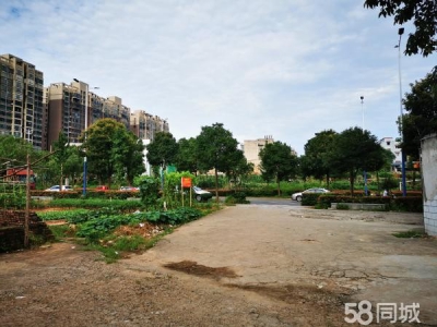 湘潭市岳塘区 汽车东站附近独栋私房出租图2
