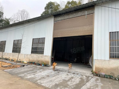湘潭市雨湖区 锰矿方向，响水乡全新独立厂房出租图4